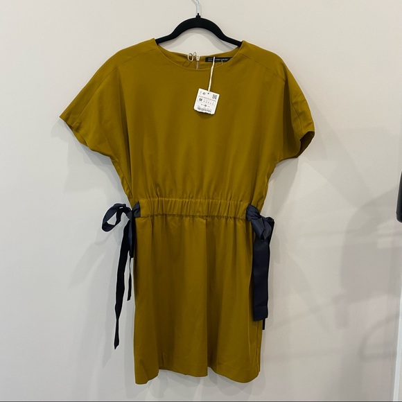 BNWT Zara dress - Picture 1 of 4